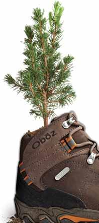 ONE MORE TREE Three ways we can plant one more tree together. Purchase: We plant a tree for every pair of Oboz sold.