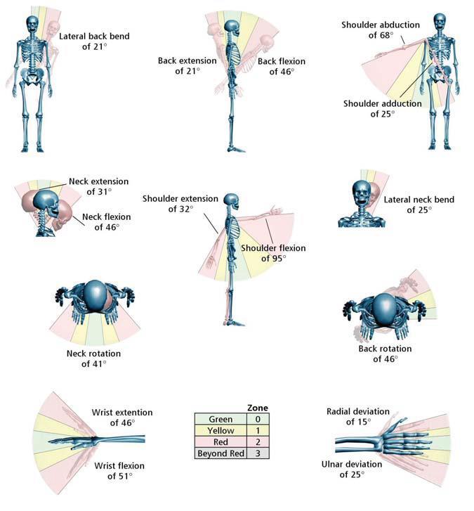 Slika 8. Najpovoljniji položaji ljudskog tijela za različite zglobove [8] Na slici 8. prikazani su najpovoljniji položaji za zglobove koji su najviše opterećeni s obzirom na za različite vrste radova.