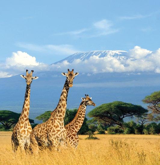 26 Africa Kilimanjaro Tanzania Kilimanjaro offers breathtaking views and