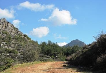 Several nature trails have been marked around the area suitable for hiking.