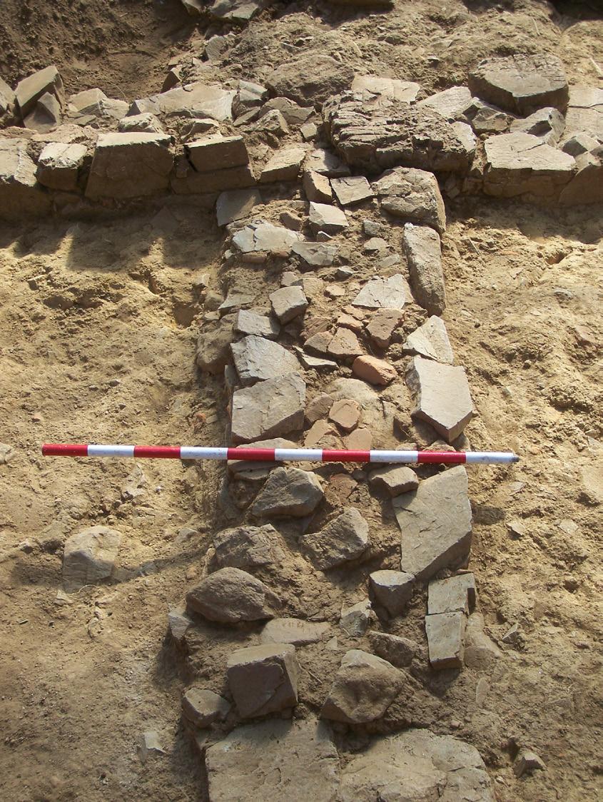Estudo de paramentos e análise das estruturas exhumadas na pars nobilis do campamento romano de A Cidadela... seu alzado. Unha trincheira de dous pés romanos (59,2 cm)4 serviría ben a este cometido.