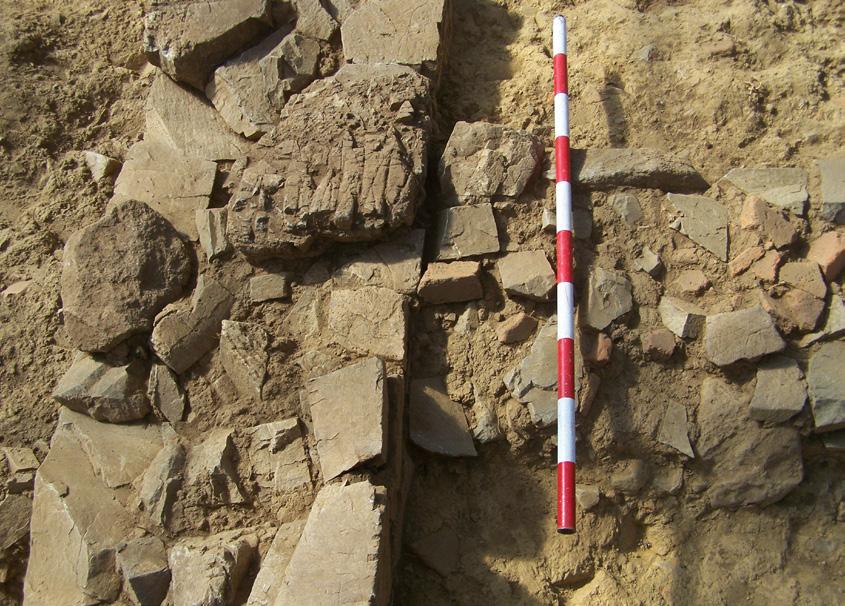 Estudo de paramentos e análise das estruturas exhumadas na pars nobilis do campamento romano de A Cidadela... 43,5 e os 45,5 centímetros, axustándose ben ao pé e medio ou codo romano (44,4 cm).