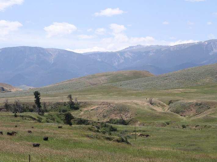 A real rural Montana feel, with plenty of wildlife and unobstructed views of the Beartooth Mountains.
