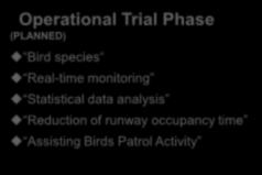 Monitoring birds movement at night Effect of sound sonic deterrence Data