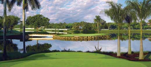THE JIM MCLEAN SIGNATURE COURSE The 7,105-yard Jim McLean Signature Course joins the acclaimed Blue Monster and Great White as the third premier course at Trump National Doral Miami.