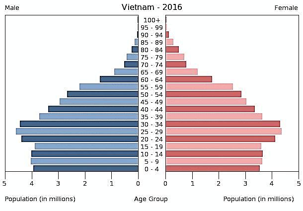 Vietnam Demographics Vietnam is reaping the demographic dividends Growing numbers of