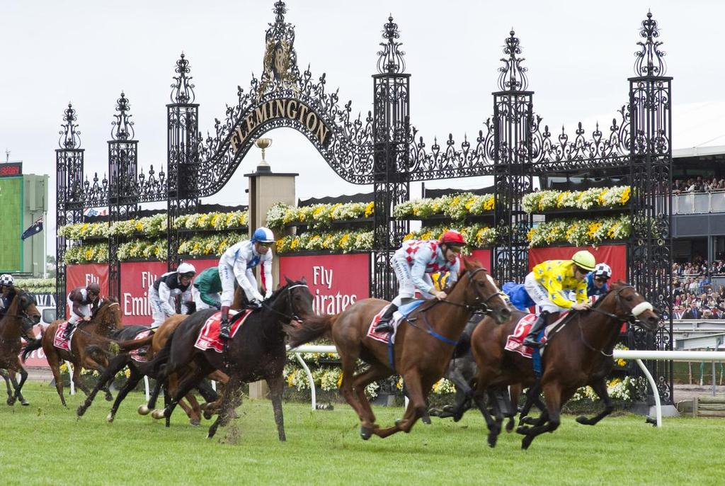 4. Melbourne Cup The Melbourne Cup is a 3,200metre horse race for thoroughbreds three years and over.