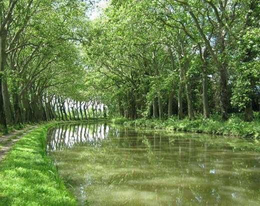 France Canal du Midi Bike Tour 2019 Individual Self-Guided OR Guided 7 days / 6 nights or 10 days / 9 nights The Canal du Midi is undoubtedly the most beautiful canal in France and Europe.