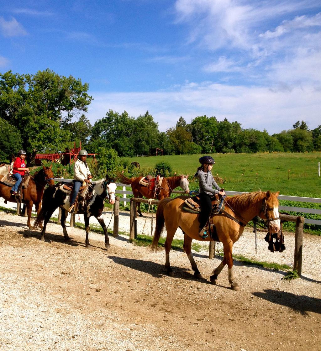 HORSEBACK ELECTIVE Enjoy the beauty of Wisconsin s rolling hillside while gaining the love of horses on a trail ride.
