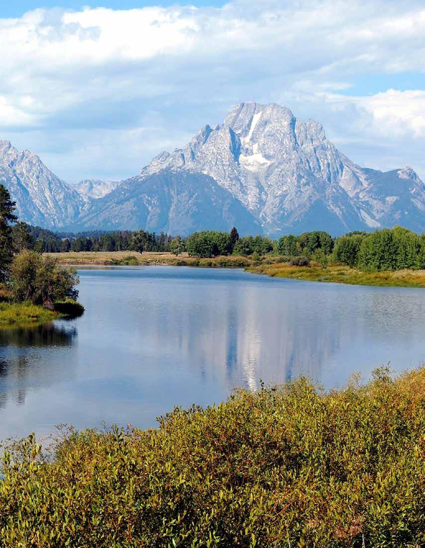 AVAILABLE TOUR DATES: June 8-14, 2019 Grand Tetons Nat l Park Day 4 Yellowstone National Park / Wildlife Safari Start the day with a visit to the Grizzly & Wolf Discovery Center where we ll have the