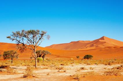 little plant, animal or human life -The Sahara desert, the world s largest desert in