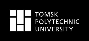 Polytechnic University Institute