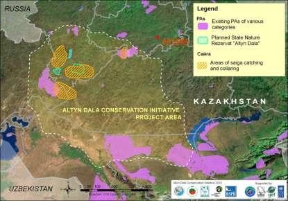 kz Алтын Далаг хамгаалах санаачлага (ADCI), Казахстаны Биологийн төрөл зүйлийг хамгаалах нийгэмлэг хамтран 2009 оны намраас эхлэн Бекпак-Далагйин популяцид бөхөн барьж, хүзүүвчилж байна.