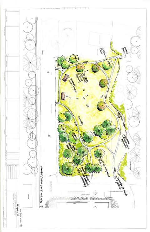 BCH8-920 Restored picnic area Conceptual sketch. Some trees may need to be removed during construction.