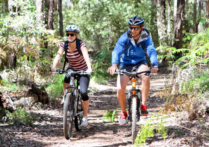 The trails network is expected to create new business opportunities in the reserve Mountain biking trails Estimated project cost $900,000 Mountain biking is one of the fastest growing recreation