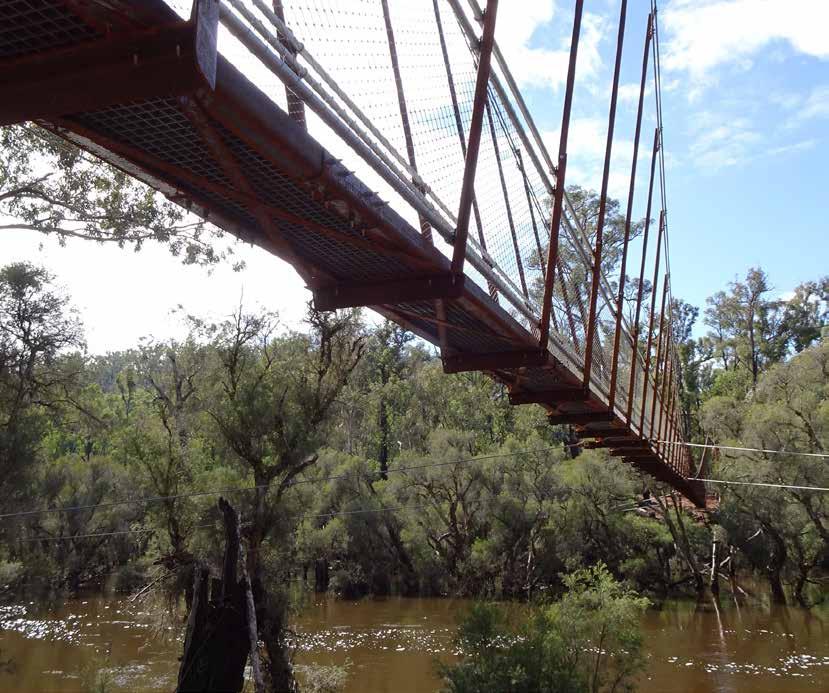 xxx Suspension bridge over the Murray River Estimated project cost $1,000,000 This project seeks to establish a bridge over the Murray River to connect the Dwaarlindjirraap (Baden Powell) recreation