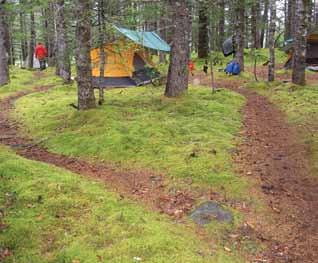 Development of Campsite Monitoring Protocols in Kenai Fjords National Park Figure 3.
