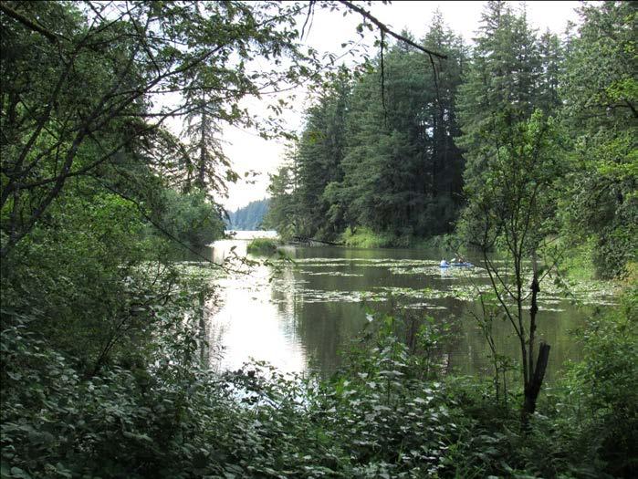 the provide wildlife corridors. Recommended Actions: Work to preserve and restore a substantial vegetated riparian zone and key wetland areas located along the north shore of the Lacamas Lake.