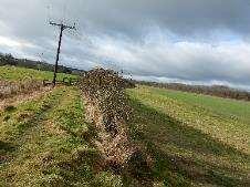 field headland which runs parallel on north side of hedge,