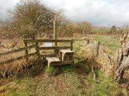 south-west of Hassendean Bank Stile in fence across