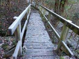 restrictions on bridge over River Tweed below NT584318 East Hawkslee Farm of 3l flights of steps too steep