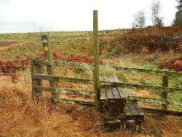 step stile over fence around planting area As above NT625179 Path