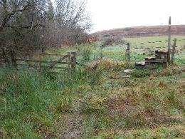 gate passable with a horse but boggy