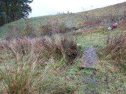 NT613179 eastern end Blacklaw Strip 3 further short sections of boardwalk over boggy ground followed by stile over fence Potentially field gate in fence to south leading into field south of Blacklaw