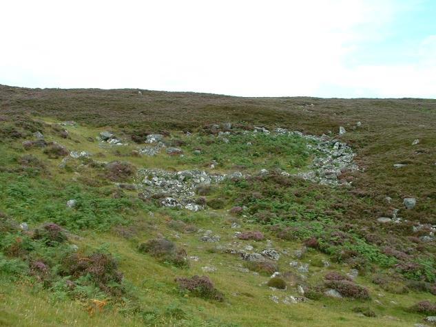 The site comprises 4 shieling huts, 2 possible stores and 2 enclosures. A general view of the NE shieling site looking south.