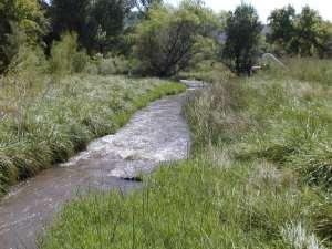 aerate the water. In the past, the seller has caught 23 brown trout out of this river on the property.