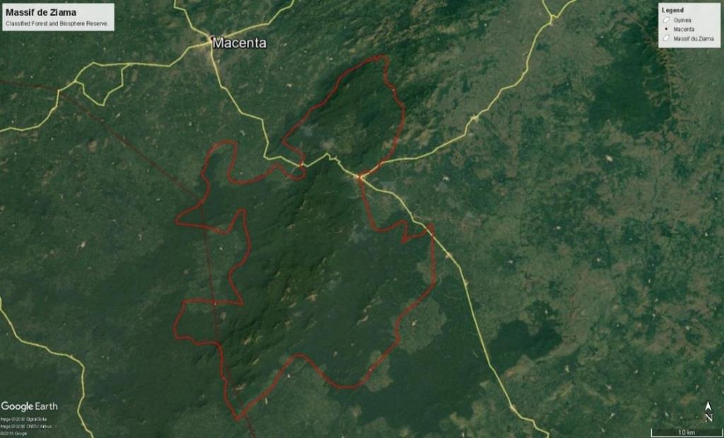 TIPAs Report: Ziama Classified Forest, Macenta IPA criteria under which the site qualifies: A (i,ii,iii,iv), B (ii), C (ii,iii) IPA ASSESSMENT RATIONALE The Ziama mountain range comprises of a rich