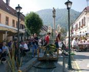 The pleasant countryside town is the centre of the Dravinja valley which stretches towards the
