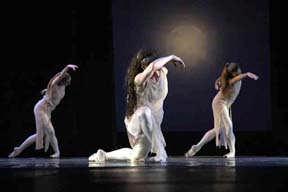 Cabriole Dance Flooring Best use: Touring - Ballet, Modern, Jazz, Drill Team Cabriole dance flooring is a major breakthrough in stage and studio flooring.
