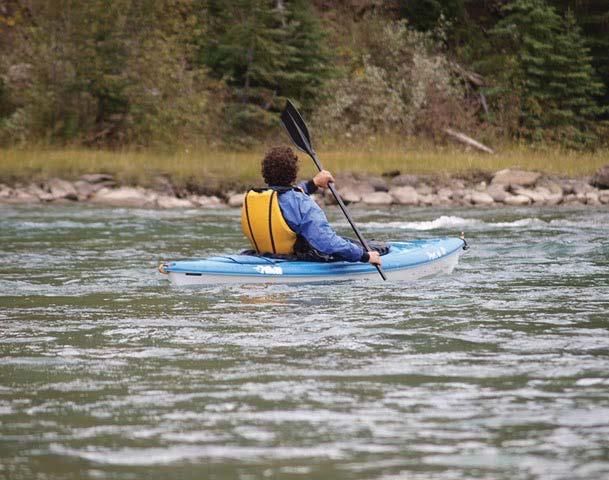 North Saskatchewan River Provincial Park To conserve the landscape and better manage social and economic activity in Bighorn Country, the government is proposing new, expanded or amended parks,