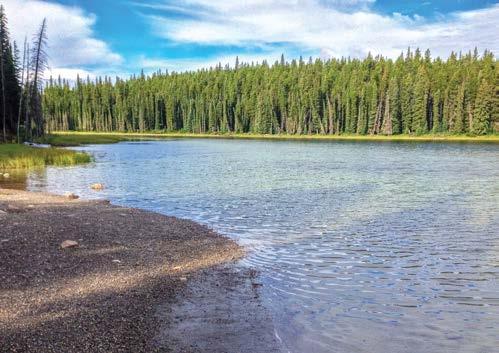 Shunda Provincial Recreation Area To conserve the landscape and better manage social and economic activity in Bighorn Country, the government is proposing new, expanded or amended parks, recreation