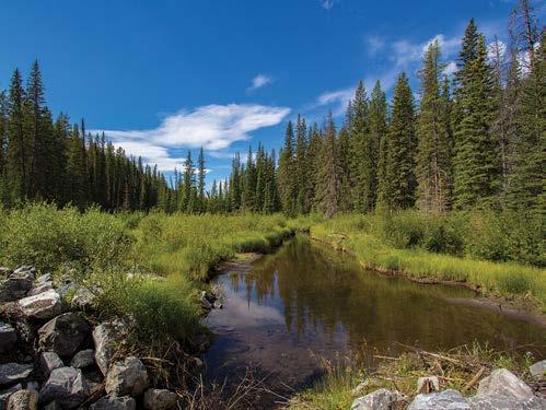 Snow Creek Provincial Recreation Area To conserve the landscape and better manage social and economic activity in Bighorn Country, the government is proposing new, expanded or amended parks,