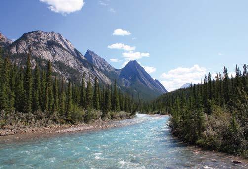 David Thompson Provincial Park To conserve the landscape and better manage social and economic activity in Bighorn Country, the government is proposing new, expanded or amended parks, recreation