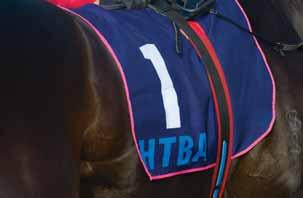 SEE STORY BACK PAGE FREE ENTRY HTBA PROTECT OUR INDUSTRY RACE DAY Friday 26 August 2016 8 TAB races Gates open 11.30am WHEN Saturday 27th August 2016 9.