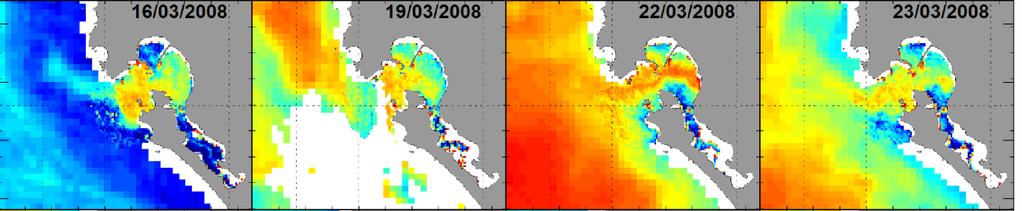 Saldanha Bay phytoplankton dynamics During the upwelling season there is a constant set-up of