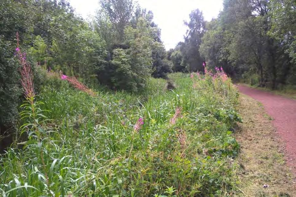 Monkland Canal (Forth & Clyde West Team) Extensive weed cutting on the Monkland Canal using the truxor