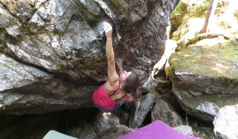 The area contains some of the best highballs in Revelstoke with pretty much every line on the Mortality boulder being classic. Other noteworthy problems are Estocada V9 and Elefunk V6.