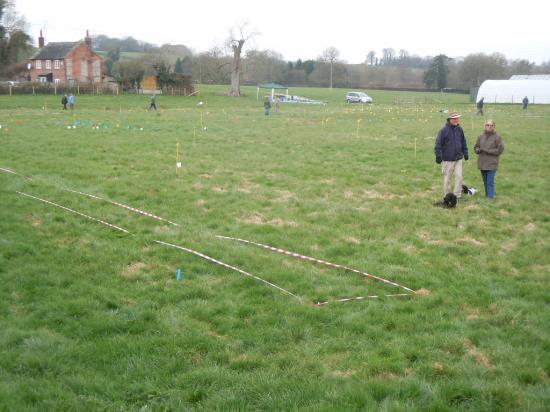 3.2 Dowsing Survey Members of HADS were allocated a series of 10 metre grids to survey.