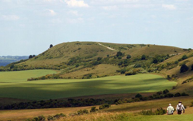 About the project Beacons of the Past: Hillforts in the Chilterns landscape The Chilterns Conservation Board is developing an exciting project which will engage and inspire communities to discover,