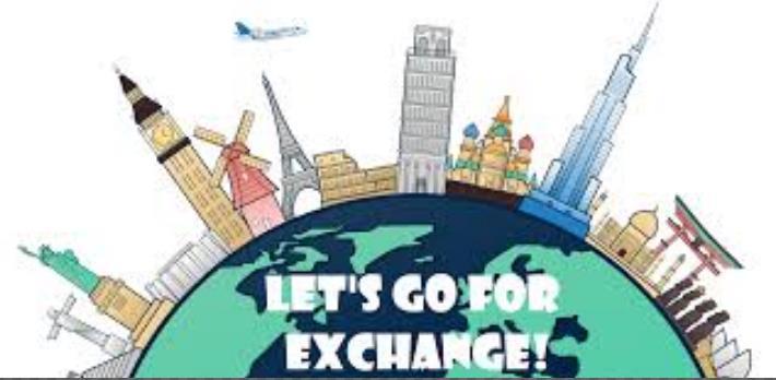 exchange program to the US to study English.