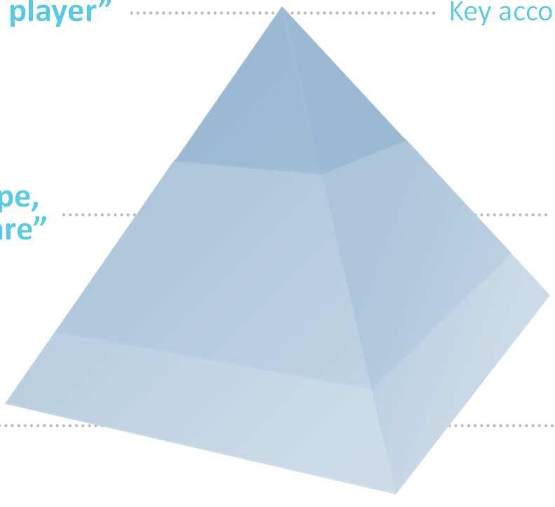OFFER SEGMENTATION BY CLIENT TYPE Niche innovation player Key accounts Big enough to cope, small enough