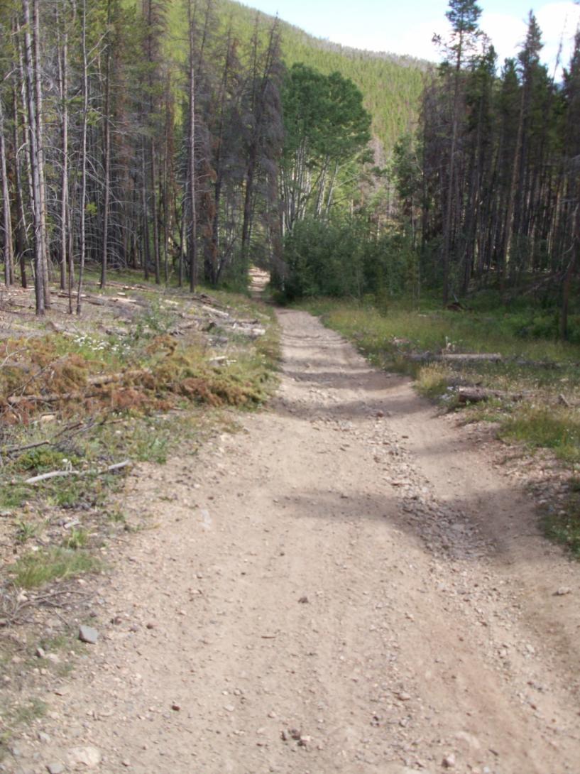 Figure 1 Example of a section of road that would be converted to single-track trail. Waterbars would be constructed across the entire width (W).