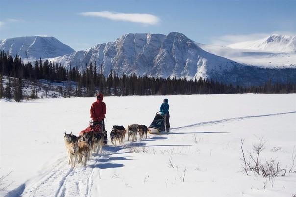 15 Day Husky Adventure Tour 14 days with the Huskies Every Saturday from 1 st December 2018 to 16 th March 2019 Cost: 2435 per person including GST Group size: Max 6 Room in Whitehorse please add 95