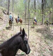 DELAWARE COUNTY OHIO HORSEMAN S COUNCIL INVITES YOU TO AN
