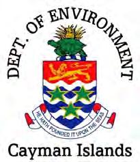 V5 PUBLIC CONSULTATION August 2012 Cayman sharks and dolphins The purpose of this document is to summarise key findings from a study of sharks, rays, whales and dolphins in Cayman, and to open a