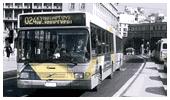 Buses and Trolley Buses a hub network